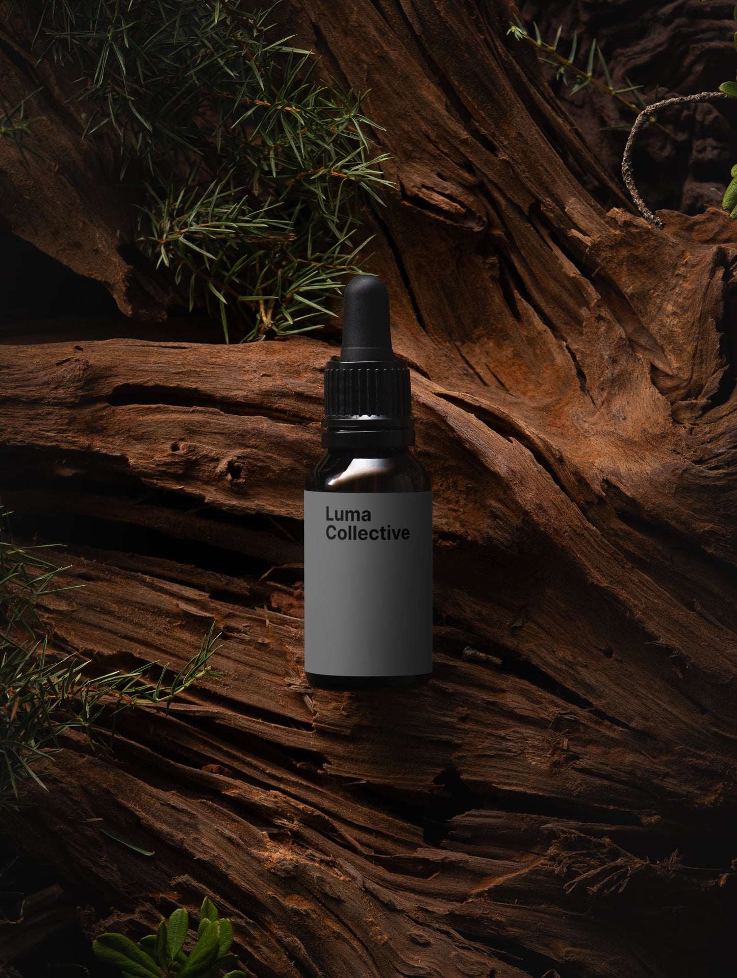Men's Daily Care Beard Oil