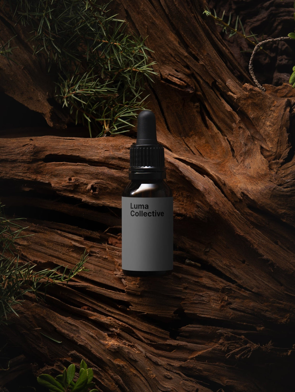 Men's Daily Care Beard Oil - Luma Collective Shop